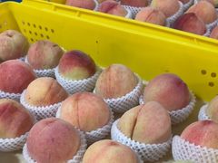 -老袁家蜜桃农场·阳山水蜜桃