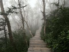 -白草畔自然风景区