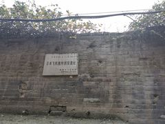 -老字号贾家肉丸糊辣汤(光明巷店)