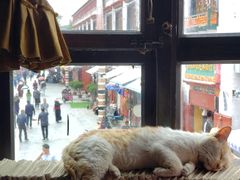 景观位-玛吉阿米·餐吧