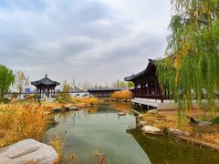 -水西公园