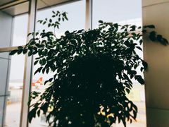 -长沙黄花国际机场-T1航站楼