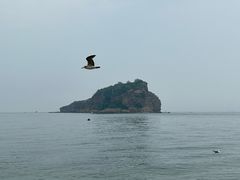 -棒棰岛宾馆景区