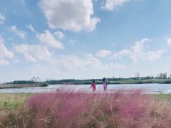 -春花秋色城市公园