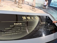 -大庆市博物馆