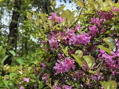 -大榭国际大酒店