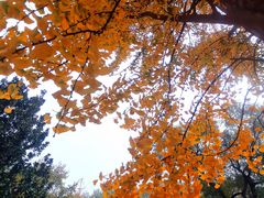 -阿香米线(中原万达店)