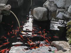 -西林禅寺