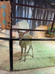 -酷嗒动物文化乐园(cutezoo西溪乐天城店)