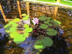 -吉而慧幼儿园-原红黄蓝幼儿园(世华水岸园)