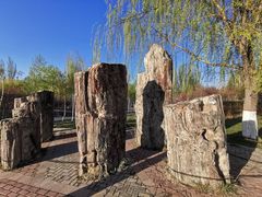 -伊犁河风景区