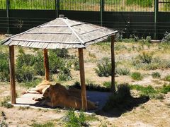 -新疆天山野生动物园