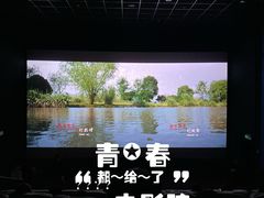-万达影城(湛江万达广场IMAX店)