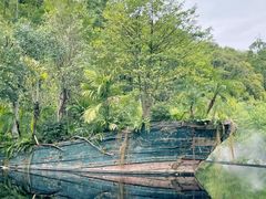 -深圳仙湖植物园