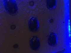 -秃鹫湾·推理大师沉浸式实景演绎推理剧场