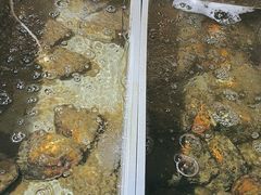-十八字金·银饰·拼豆·开蚌DIY(魏公芳华里店)