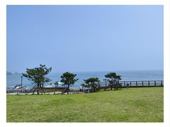 -小麦岛公园