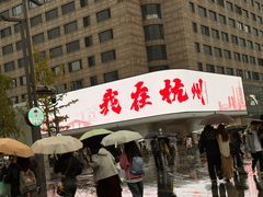 -新白鹿餐厅(西湖银泰店)