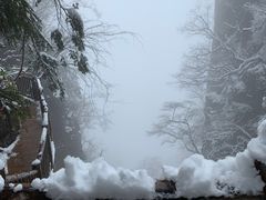-塔云山