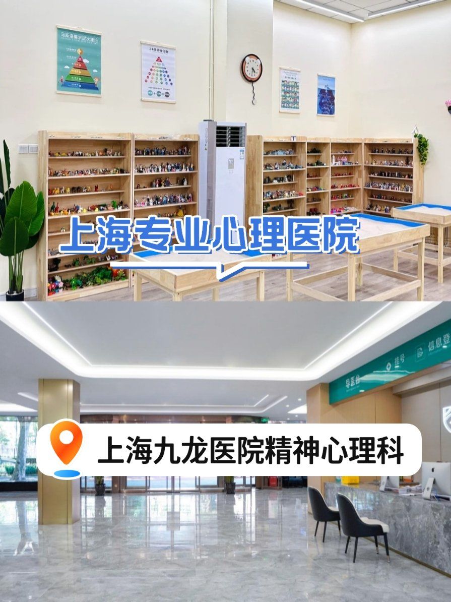 中国最权威的精神心理医院是哪家(中国最好的心理精神科)