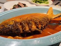 -阿五黄河大鲤鱼(英协路店)