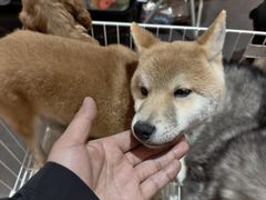 -汇德隆银隆