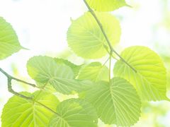 -龙苍沟森林公园