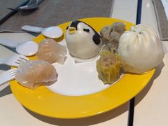 -帝企鹅自助餐厅•儿童岛•真企鹅(长隆企鹅酒店)