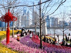 -上海港国际客运中心