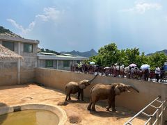 -西霞口神雕山野生动物世界