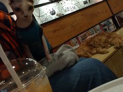 -喵匠猫主题咖啡(凯德和平广场店)