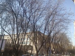 -诺贝尔一诺口腔医院(雁塔院区)