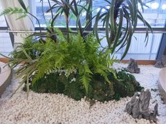 -马家斑.鲜鱼火锅(松湖万科店)