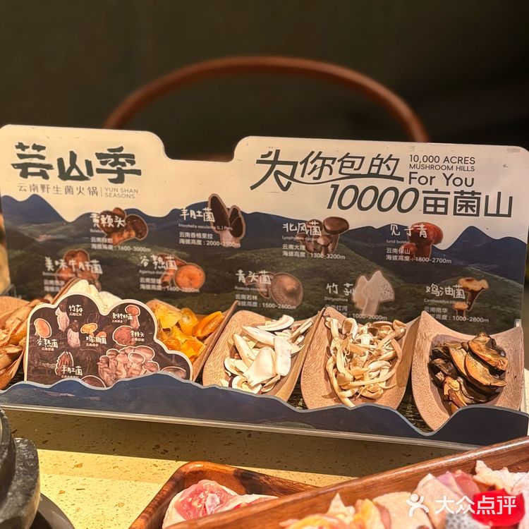  南京必冲！鲜到破防的野生菌火锅盛宴✨