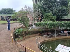 -侯臣咖啡文化村