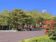 -白鹭洲公园