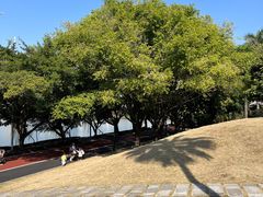 -南宁南湖公园
