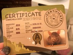 -龙猫仔乐园(惠福东路店)