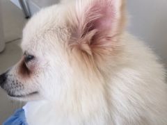 -怪兽屋·羊驼·猫咖·狗咖(俊华广场店)