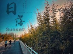 -上海山野camping·户外天幕烧烤·团建拓展营地