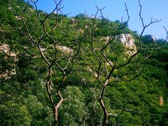 -碓臼峪自然风景区