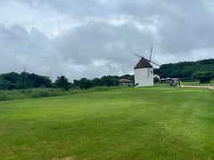 -济州森林小火车生态公园