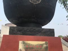 -东方大寿星园