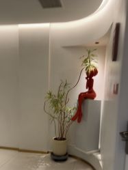 -WENDY·温迪皮肤管理