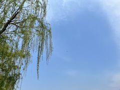 -清明上河园
