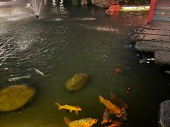-广州花园酒店