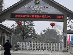 -中国大熊猫保护研究中心雅安碧峰峡基地