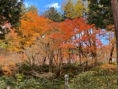 -三千院