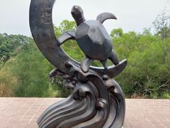 -广东惠东海龟国家级自然保护区