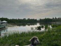 -白鹭湾湿地公园